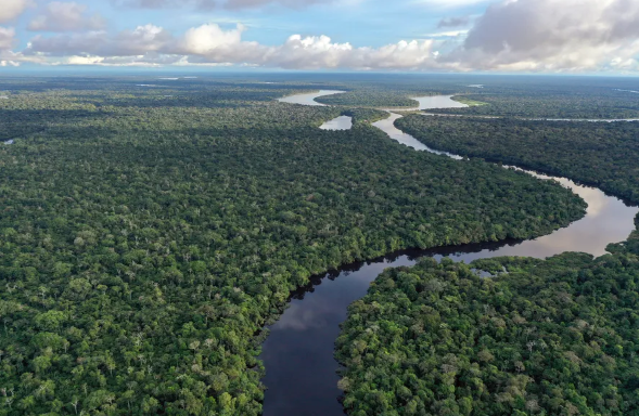 Imagem de compartilhamento para o artigo Em 40 anos: Brasil perde 6,3 milhões de hectares de superfície de água da MS Todo dia